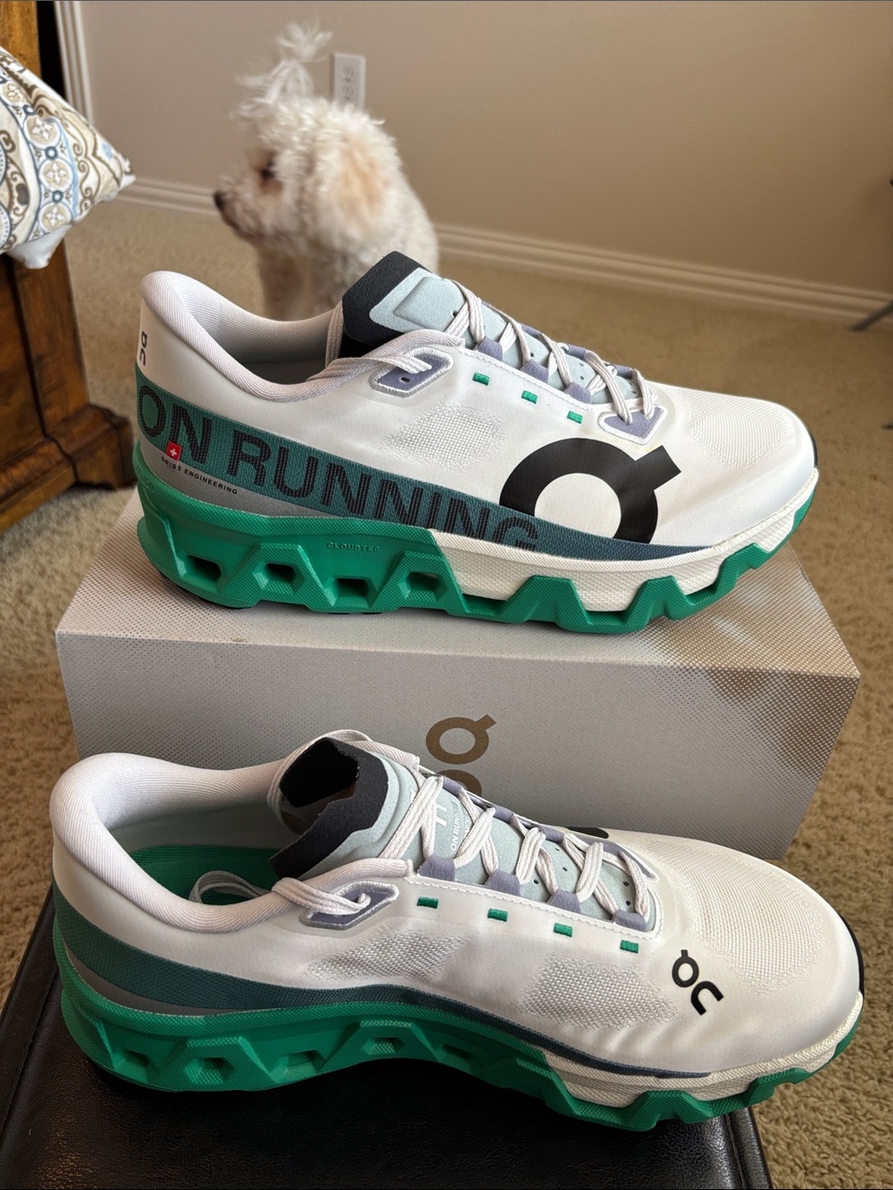 On Cloudmonster Hyper